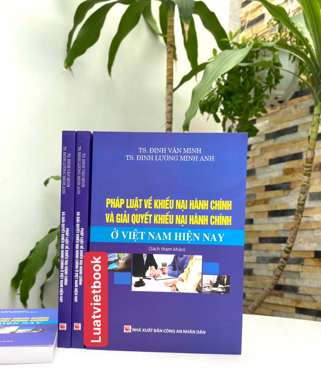 Pháp Luật Về Khiếu Nại Hành Chính và Giải Quyết Khiếu Nại Hành Chính Ở Việt Nam Hiện Nay