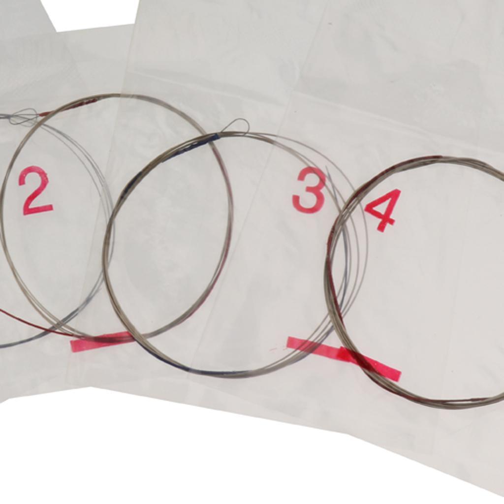 Quick Response Pipa Strings Set Chinese Lute Accessory for Pipa Player