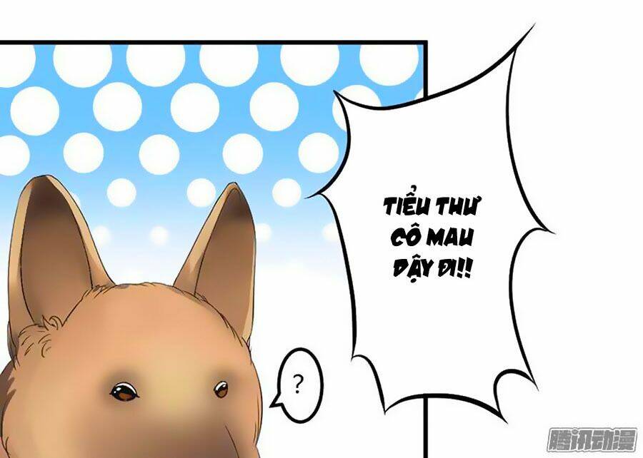 gối đầu vào tổng tài ác ma chapter 11 33