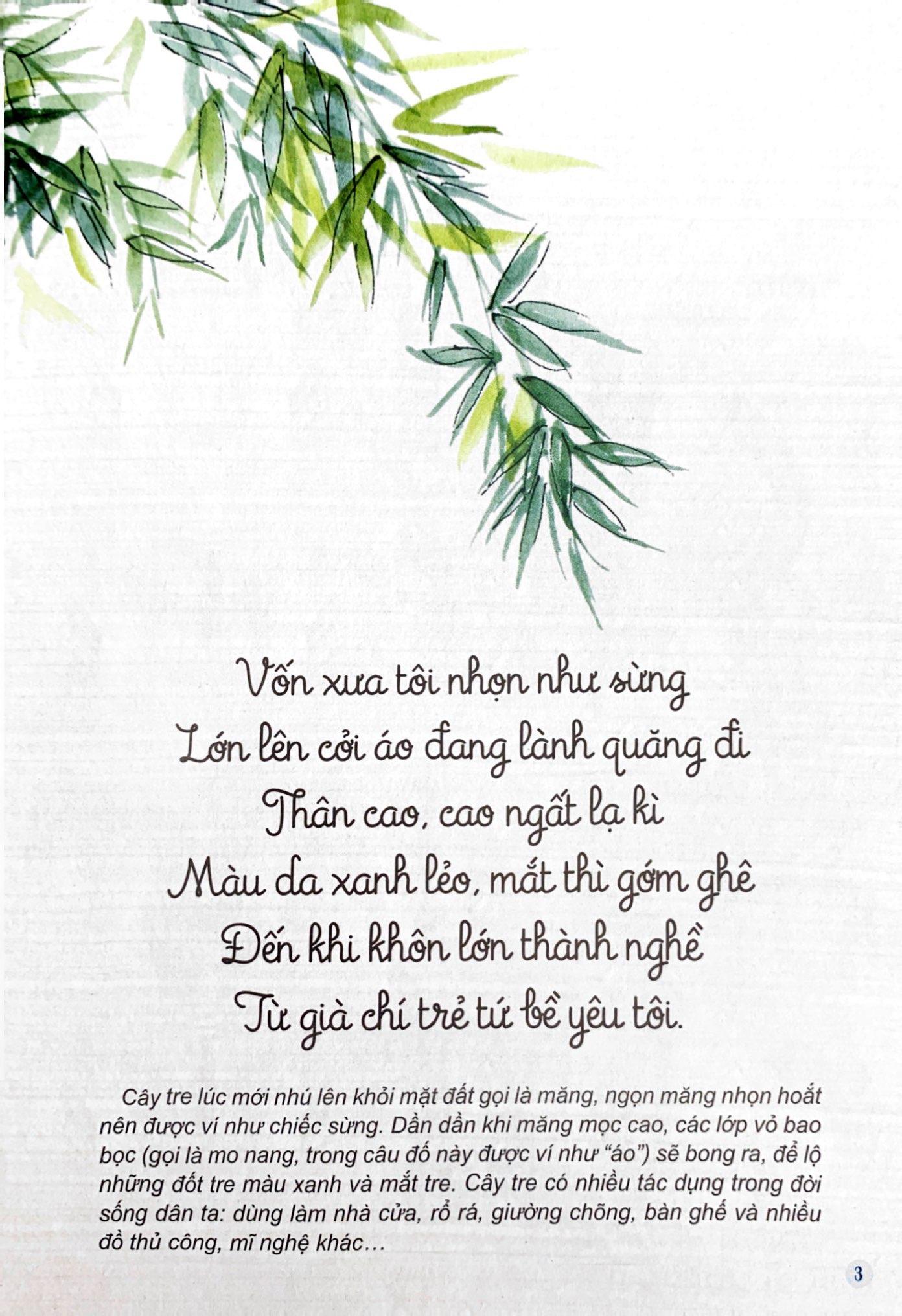 Sách Câu Đố Dân Gian Bằng Tranh - Cây Cối (Tái Bản 2019)