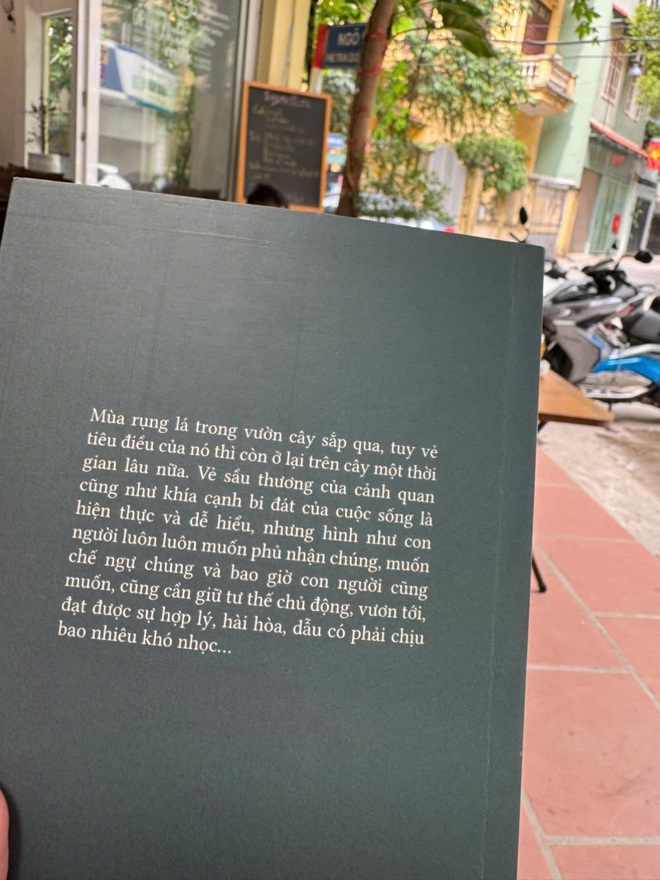 MÙA LÁ RỤNG TRONG VƯỜN - Ma Văn Kháng - Sbooks