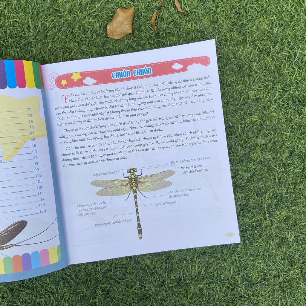 Bách Khoa Động Vật Dành Cho Trẻ Nhỏ - Côn Trùng