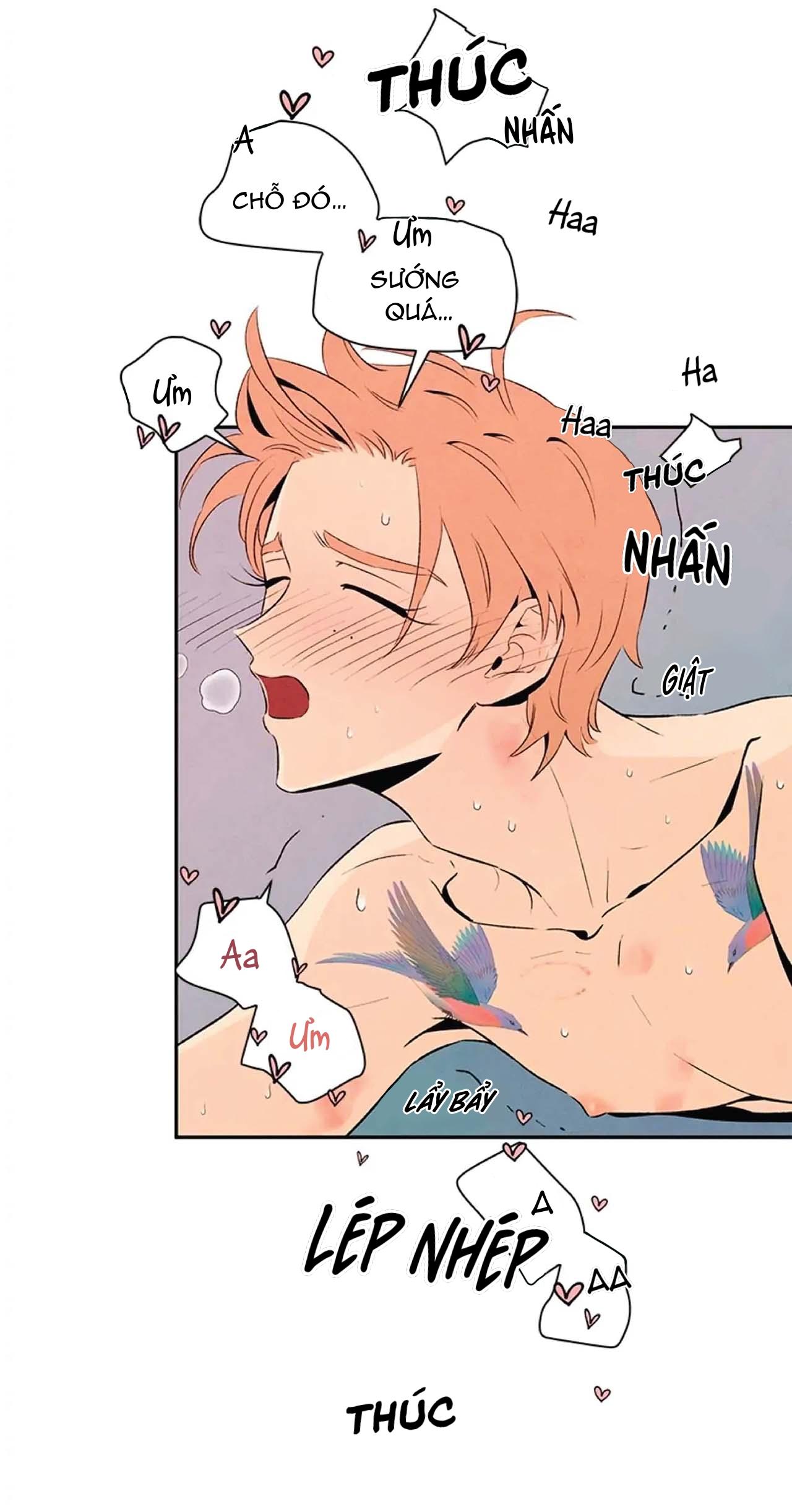 bona sort chapter 20 26