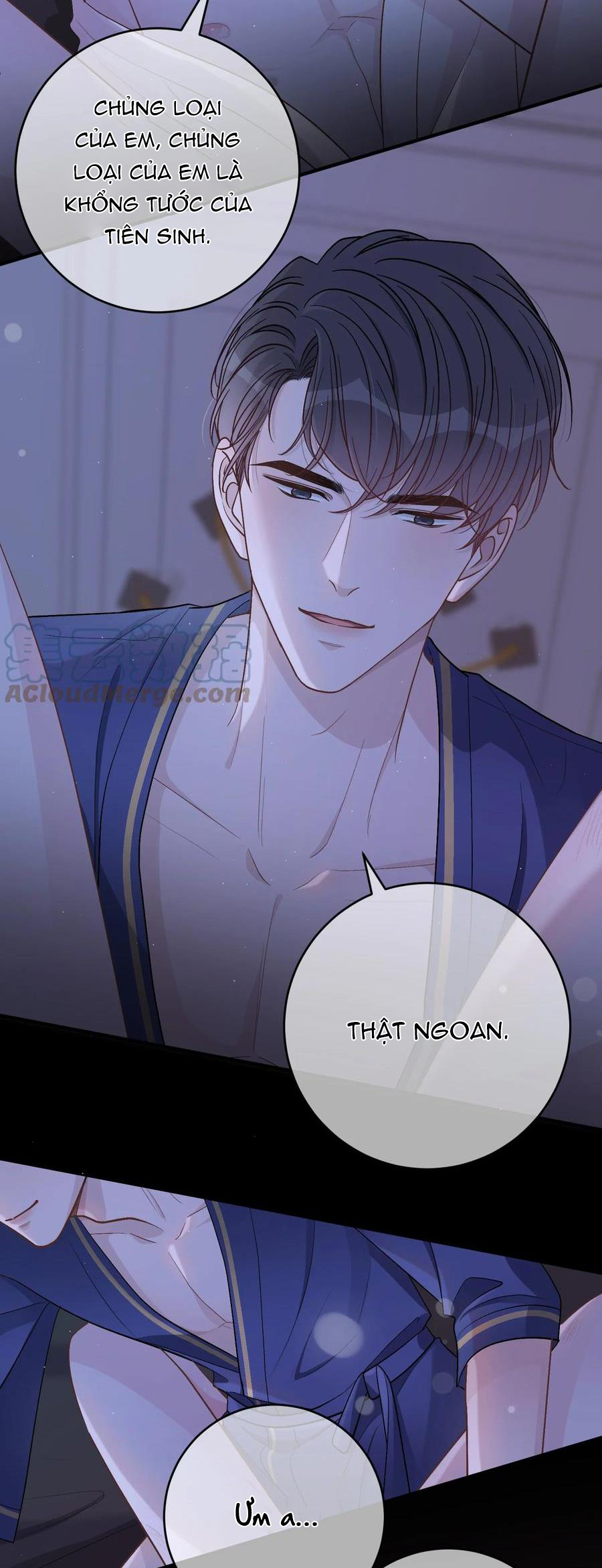trước và sau ly hôn! chapter 52 26
