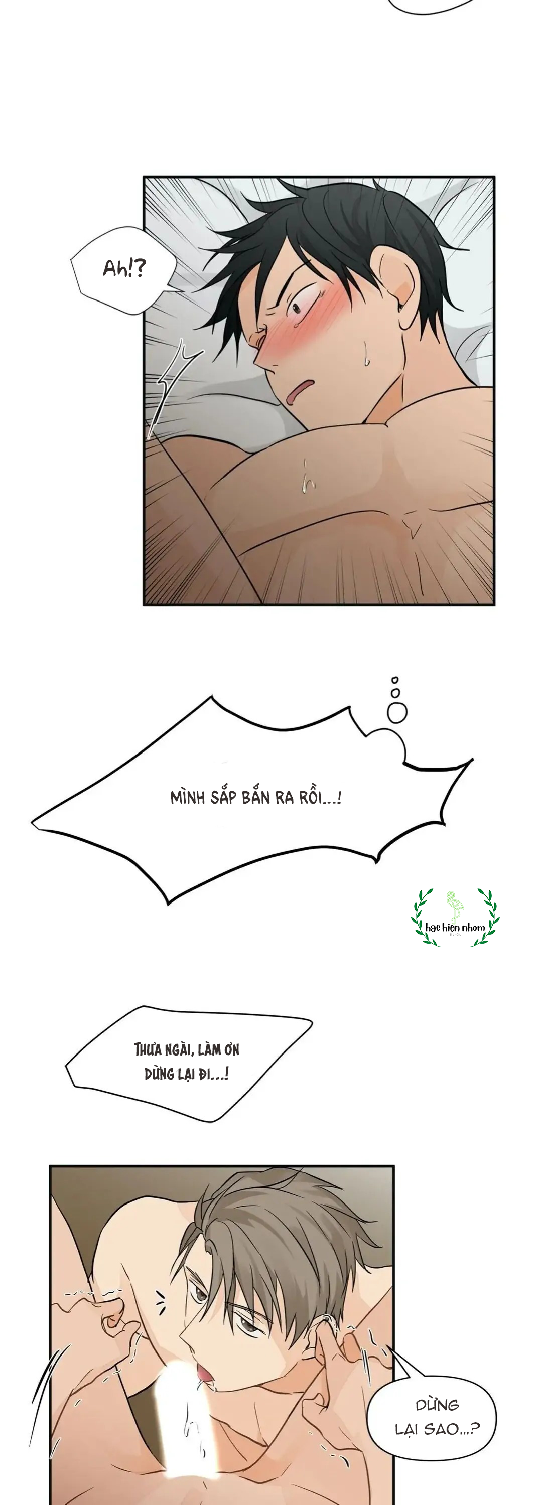 từ đầu xuống chân chapter 2 17