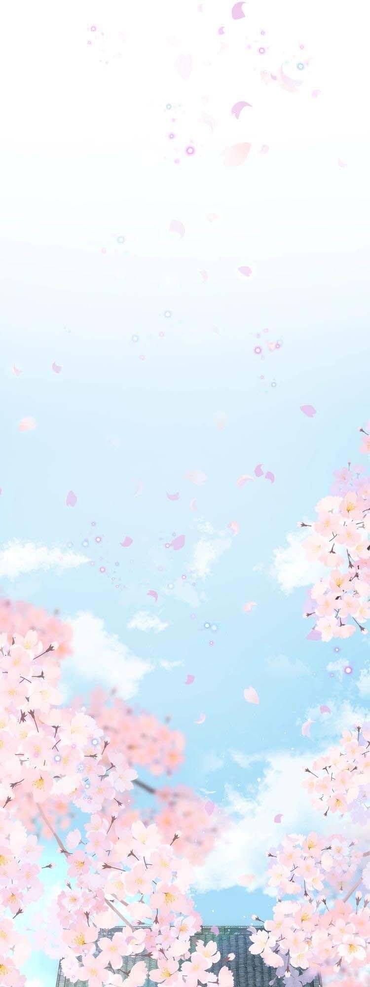 hoa nhan sách 2 chapter 117 4