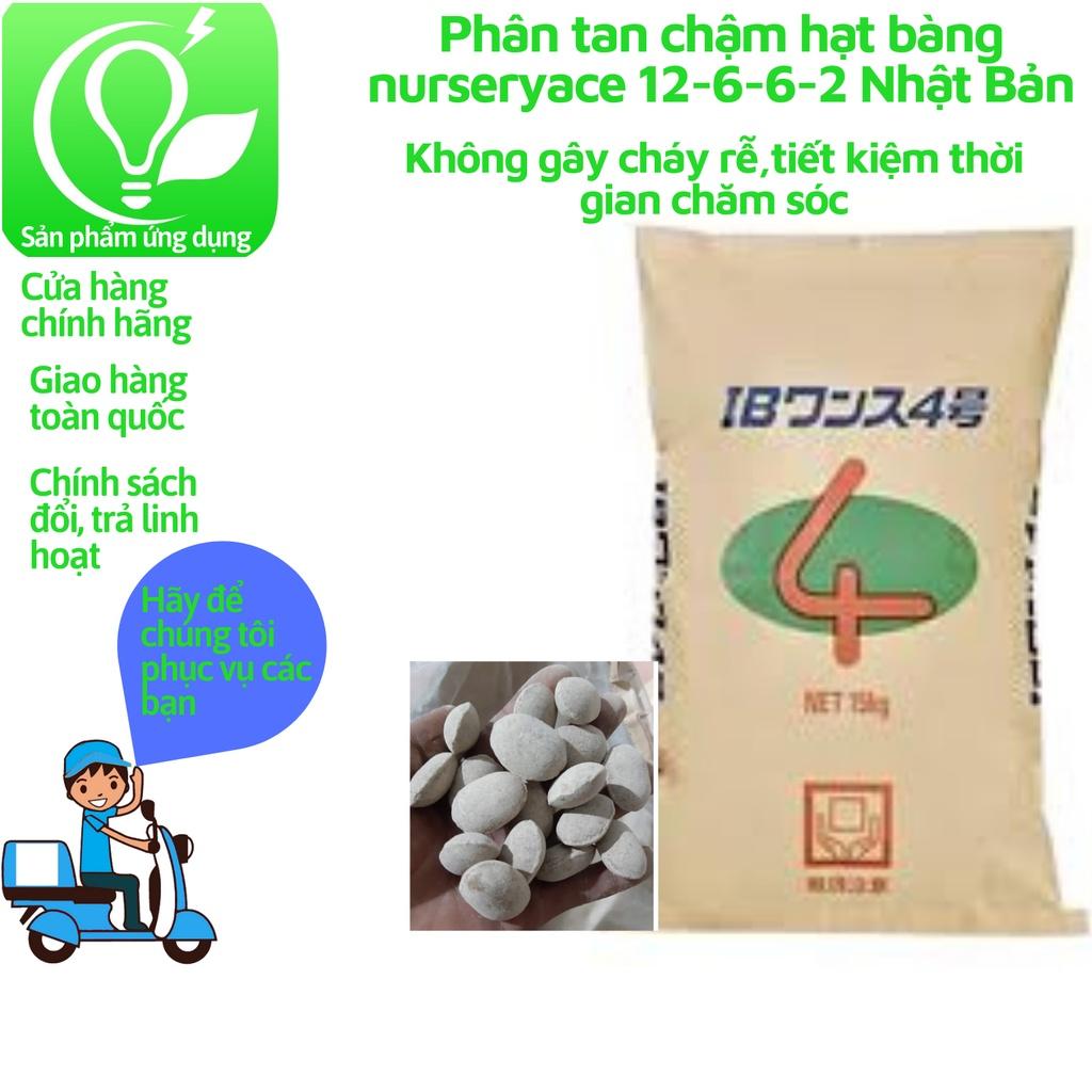 Phân tan chậm hạt bàng nurseryace 12-6-6-2 Nhật Bản 500gr cho Bonsai, hoa lan, cây cảnh, cây ăn trái