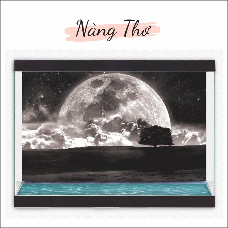 Decal dán hồ cá 3D THE MOON nhiều mẫu
