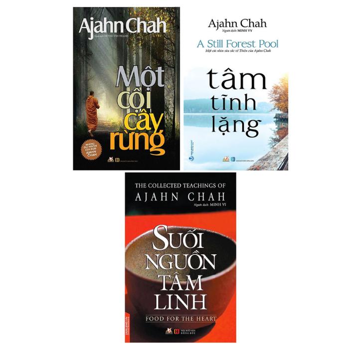 Một Cội Cây Rừng + Tâm Tĩnh Lặng + Suối Nguồn Tâm Linh
