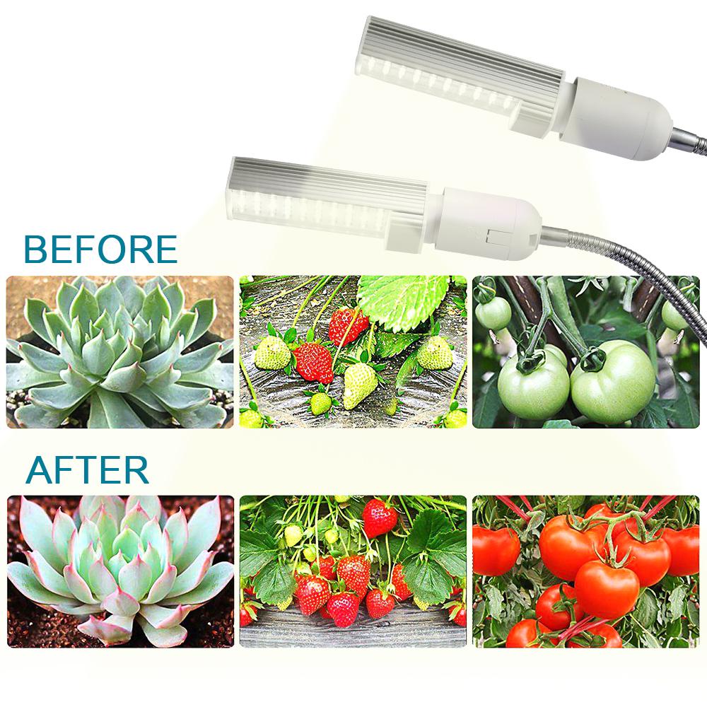 Đèn Led Trồng Cây Quang Phổ 20W Siêu Sáng 100 Led
