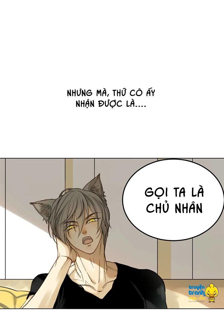 cứu mạng ! loài mèo thống trị thế giới rồi ! chapter 1 7