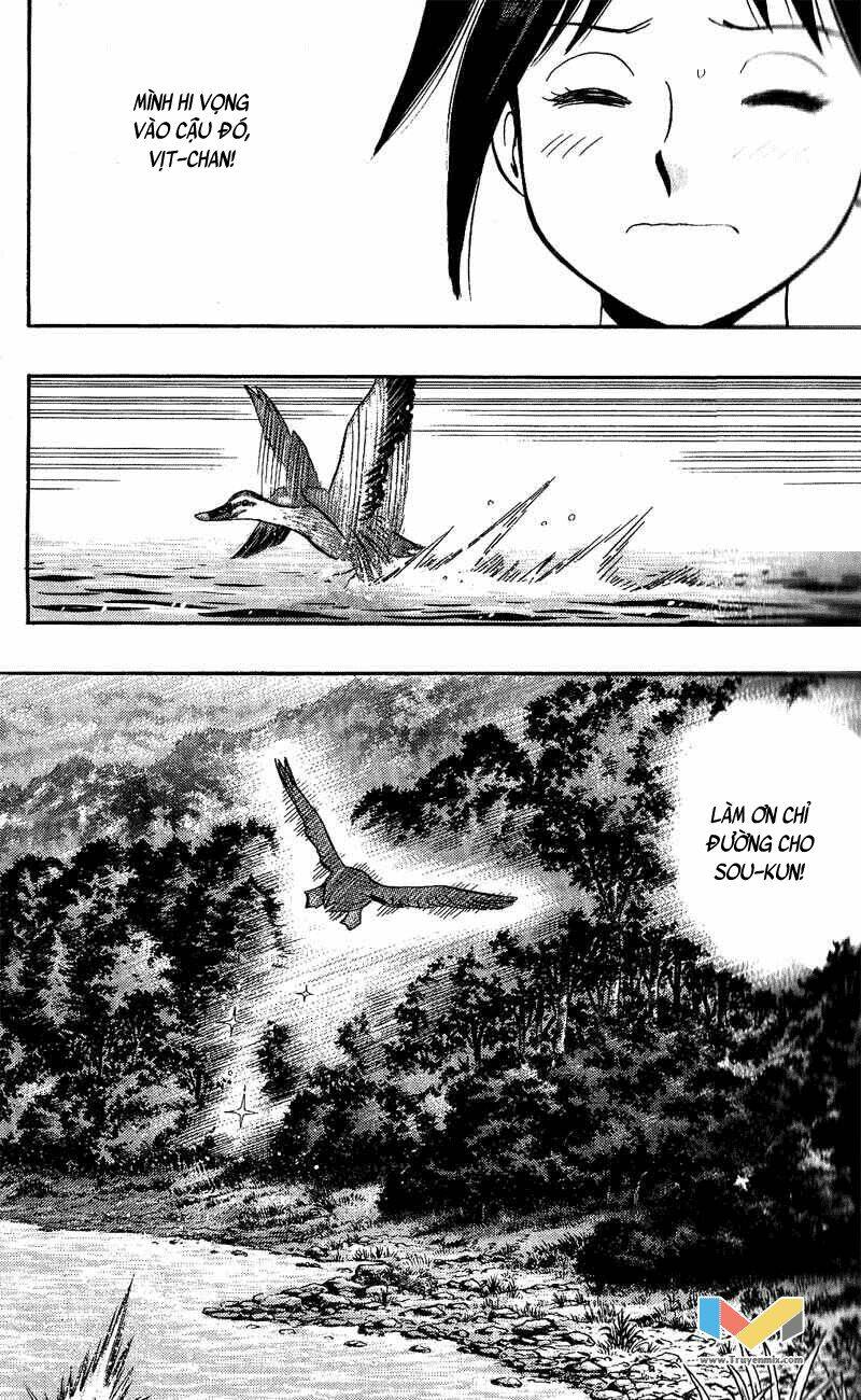 animal sense chapter 9 24