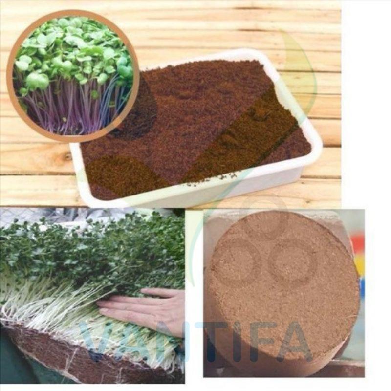 Đất Nén Hữu Cơ Mụn Xơ Dừa Bánh Lớn Dùng Trồng Rau Củ Quả, Hoa Cảnh