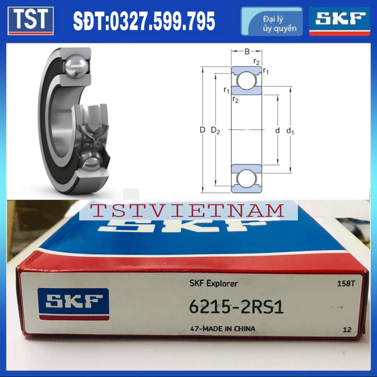 Vòng bi bạc đạn SKF 6215-2RS1