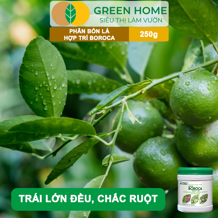 Phân bón lá Hợp Trí Boroca GreenHome, Hũ 250gr, Giúp Chống Rụng Hoa, Trái Non Tăng Đậu Trái Hiệu Quả