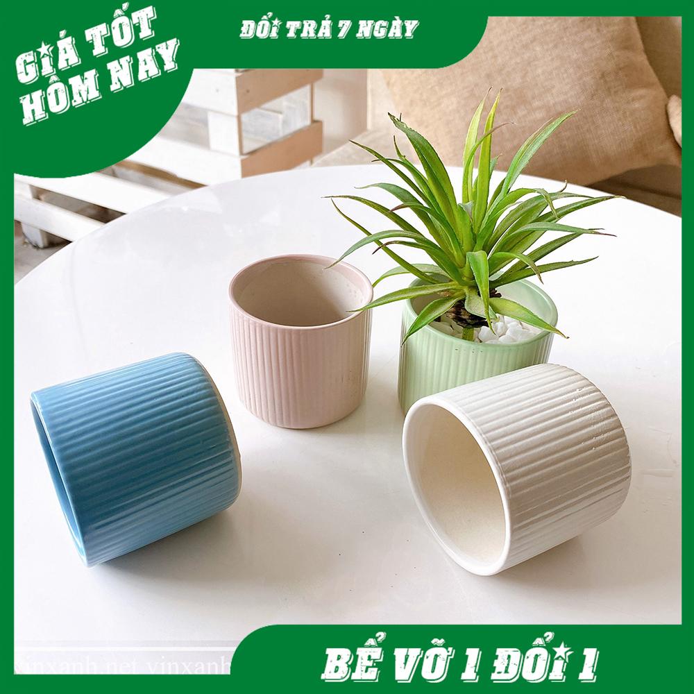 Chậu sứ trồng cây kẻ sọc trồng xương rồng, sen đá, cây cảnh mini miệng 7cm