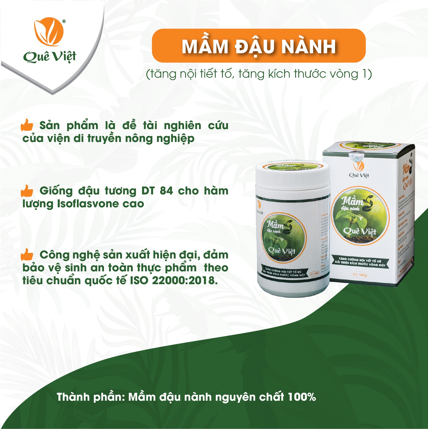 Combo Mầm đậu nành và Ngũ cốc giảm cân ăn kiêng Quê Việt 500gr/hộp