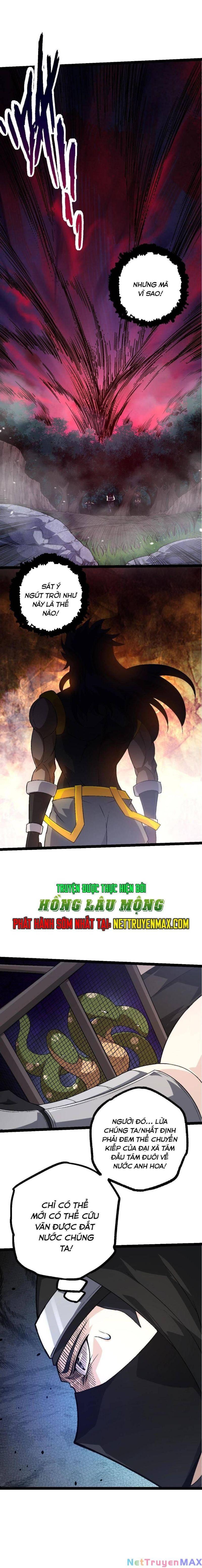 chuyển sinh thành liễu đột biến chapter 91 12