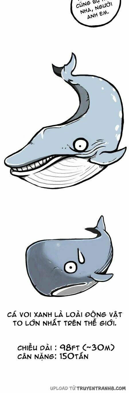 earth, human, and animal chapter 13 10