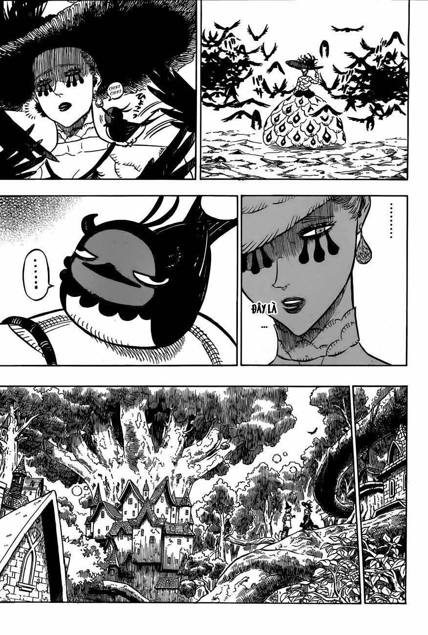 black clover - pháp sư không phép thuật chapter 101 5