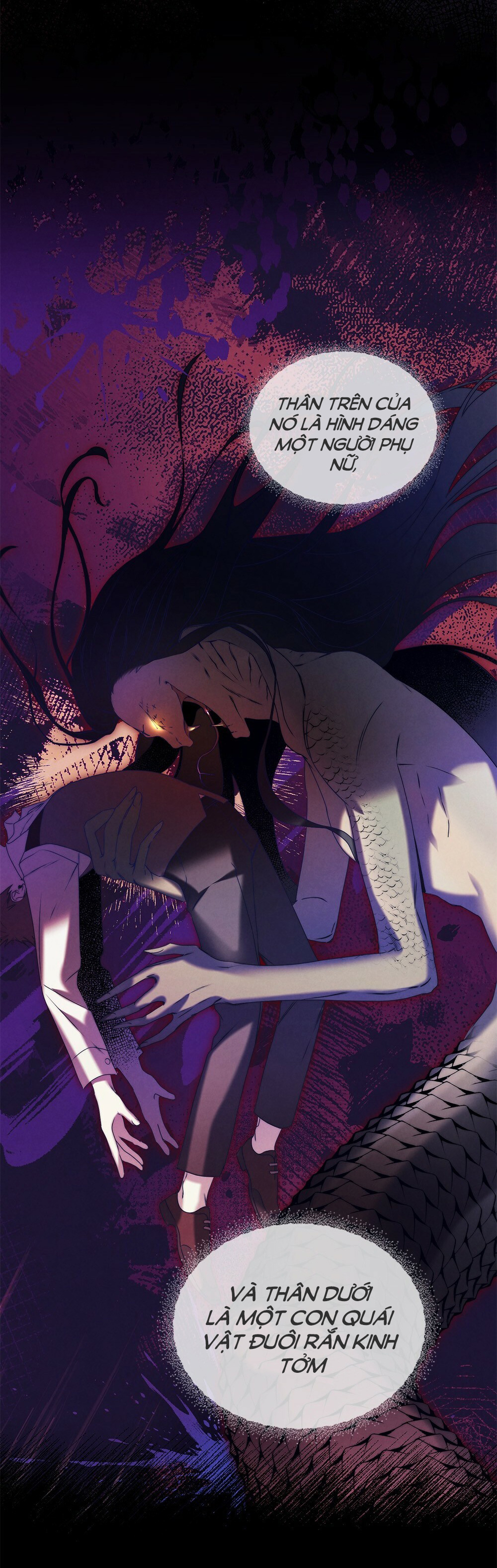 ánh bình minh hoàng kim chapter 1 59