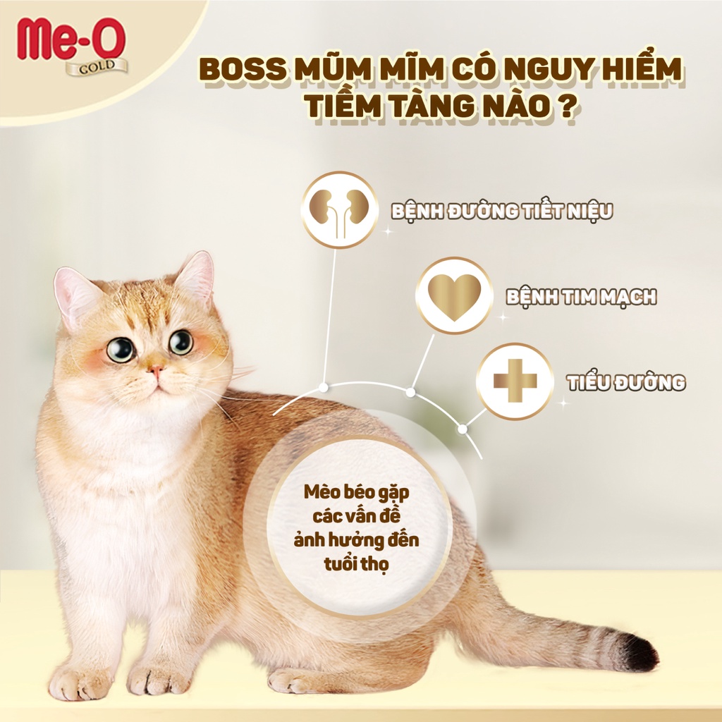Thức Ăn Mèo Cao Cấp Me-O Gold Fit 1.2kg