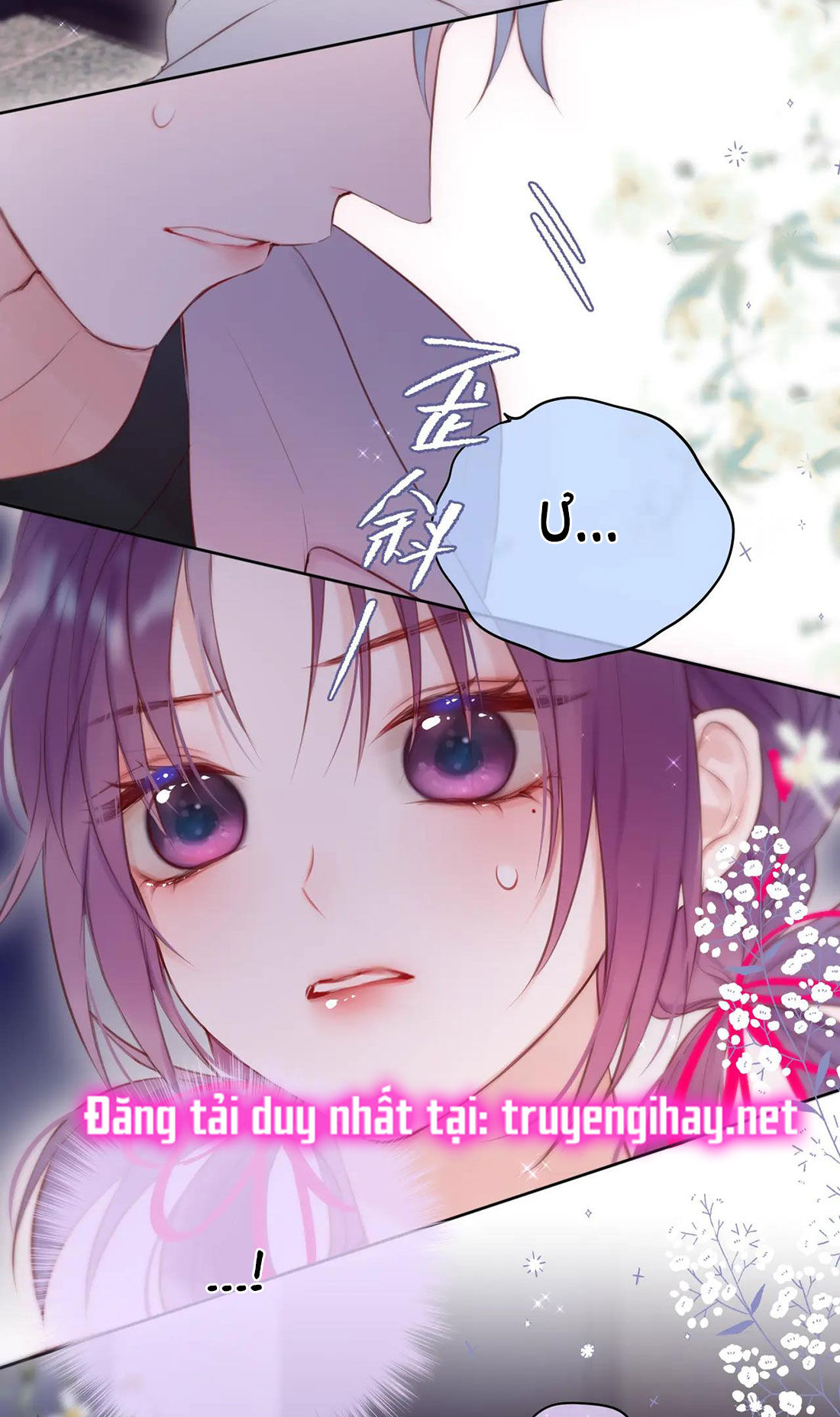 cạm bẫy của hồ ly chapter 8.2 5