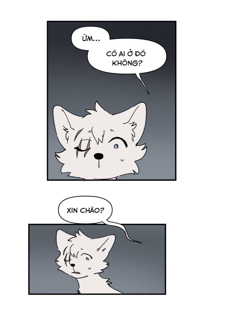 lumine - cội nguồn ánh sáng chapter 155 4