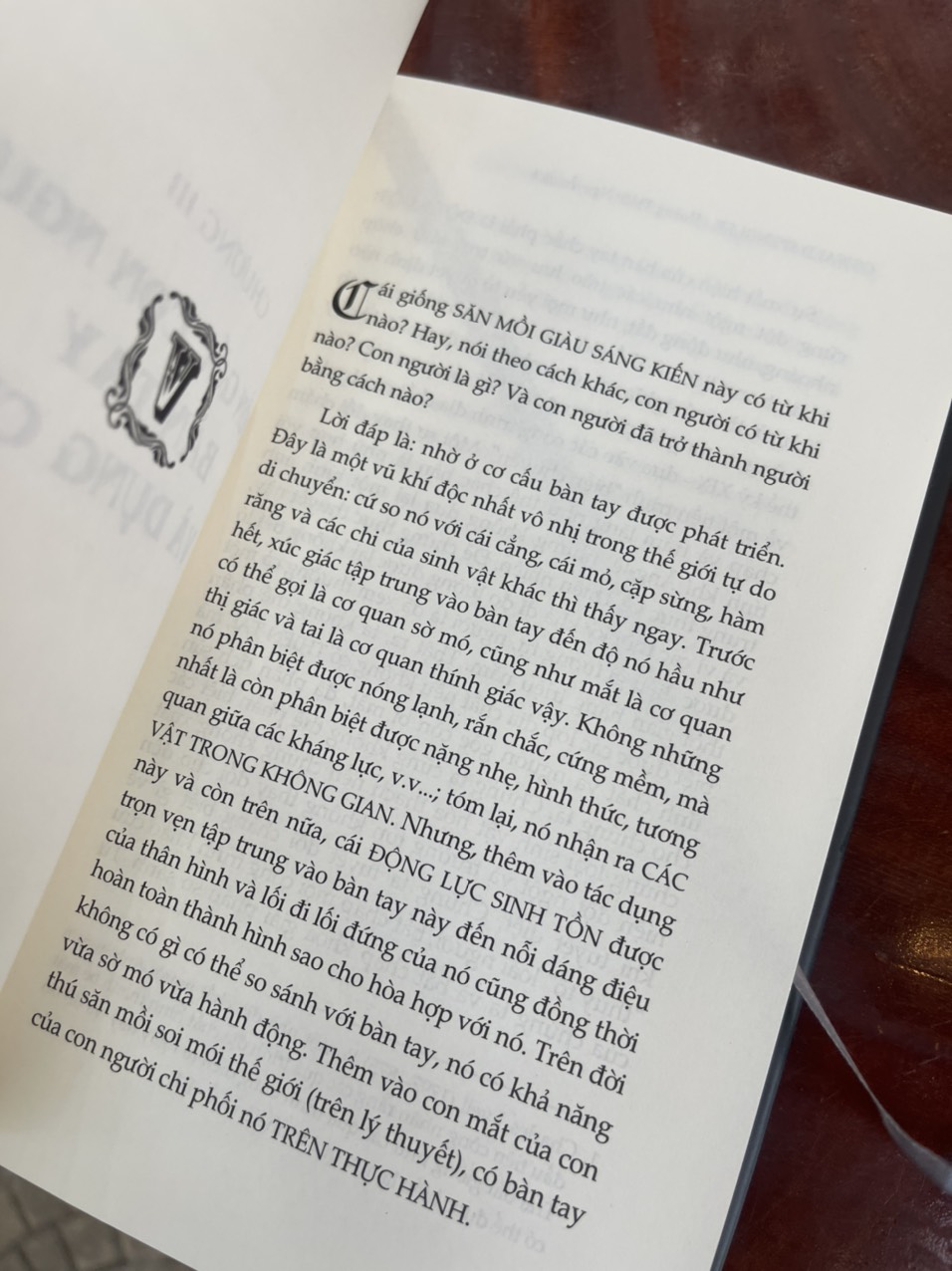 CON NGƯỜI VÀ KỸ THUẬT: Một đóng góp cho triết học đời sống - Oswald Spengler -Hoàng Thiên Nguyễn – Khải Minh – NXB Khoa học xã hội – Bìa mềm