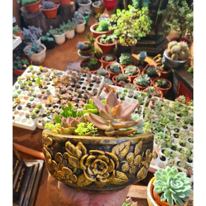 Chậu hoa văn nổi đắp thủ công