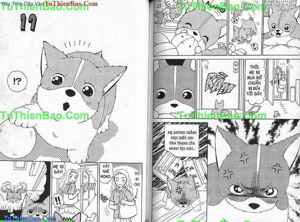 chó con mo mo chapter 2 56