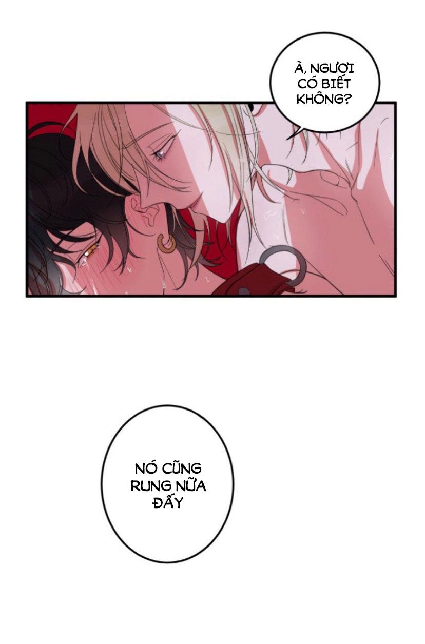 khẩu vị và sự tôn thờ của người yêu tôi chapter 5 24