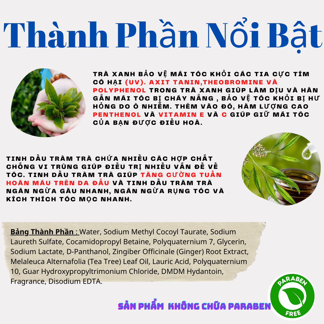 Dầu Gội Tràm Trà Trị Gàu, Ngăn Rụng Tóc CallMeHua