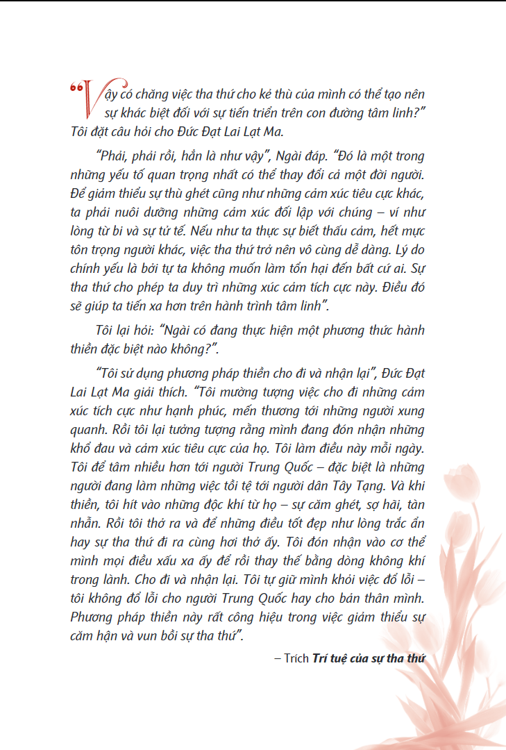 Trí Tuệ Của Sự Tha Thứ - The Wisdom Of Forgiveness - SG