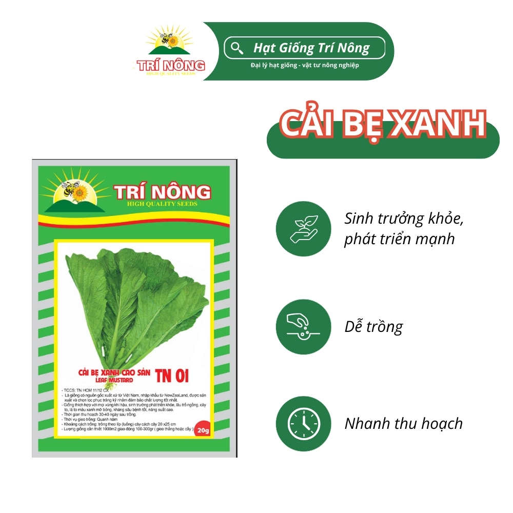 Hạt Giống Cải Xanh Cao Sản Trí Nông , TN01, Dễ Trồng, Dễ Chăm Sóc, Thời Gian Thu Hoạch 30 ngày, Gói 20 gram