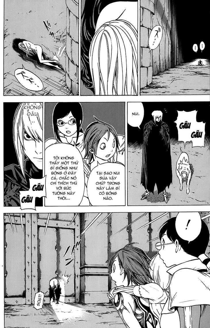 rồng xanh grado chapter 8 24