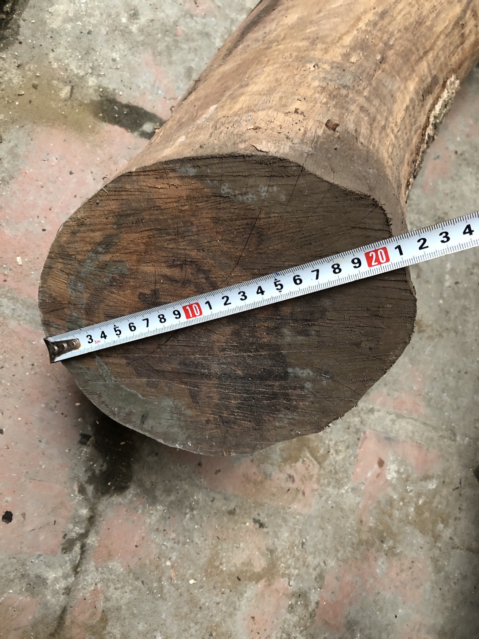 Gỗ nhãn ghé lan đường kính 21 cm dài 70 cm