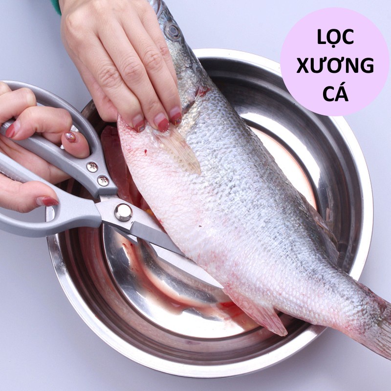 Kéo Nhật Cắt Thực Phẩm/Kéo Cắt Giấy/ Vải Đa Năng Cán Kim Loại Lưỡi Thép Không Gỉ Siêu Bền