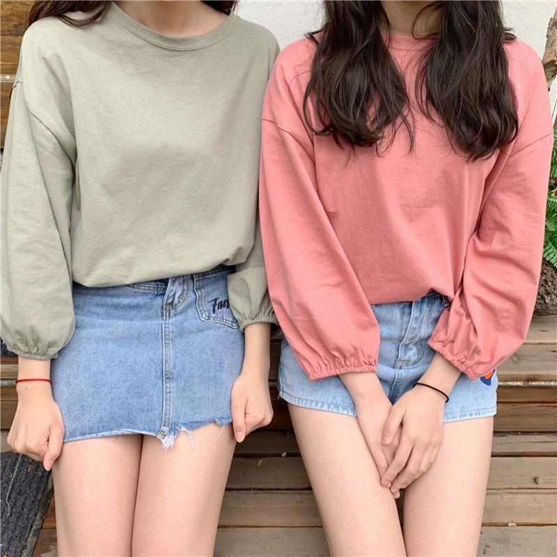 Áo Thun Dài Tay Cổ Tròn, Ống Tay Bo, Dáng Suông Chất Vải Mềm Mịn Freesize AT02