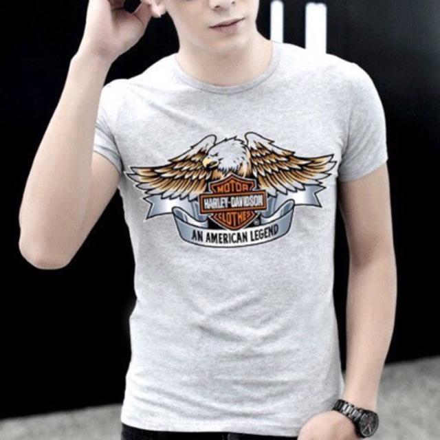 Áo thun đại bài soải cánh có big size