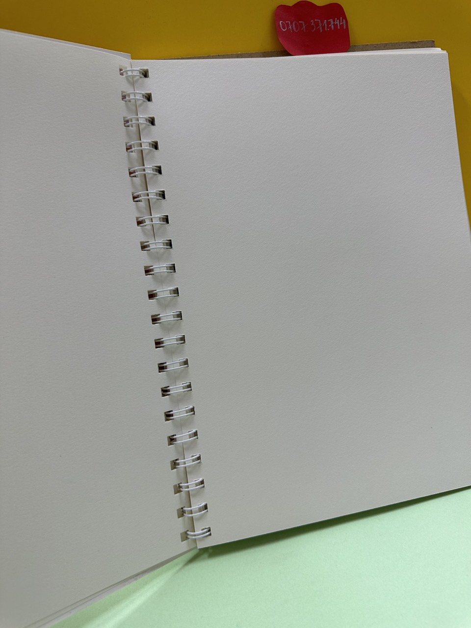Sổ Vẽ Lò Xo B5 Có Quai Xách  Định Lượng 160gsm Họa Tiết Gấu Dâu Dễ Thương Vẽ Được Nhiều Loại Màu