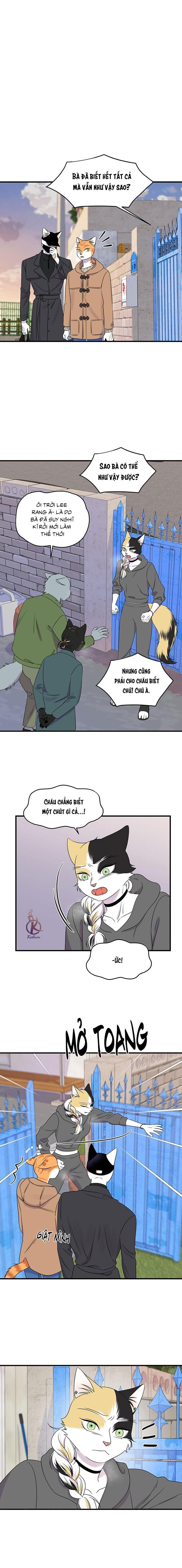 dự án xanh chapter 54 1