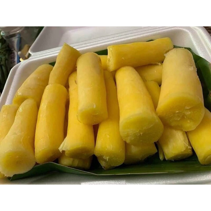 Cây giống khoai sắn ruột vàng khoai mì vàng giống