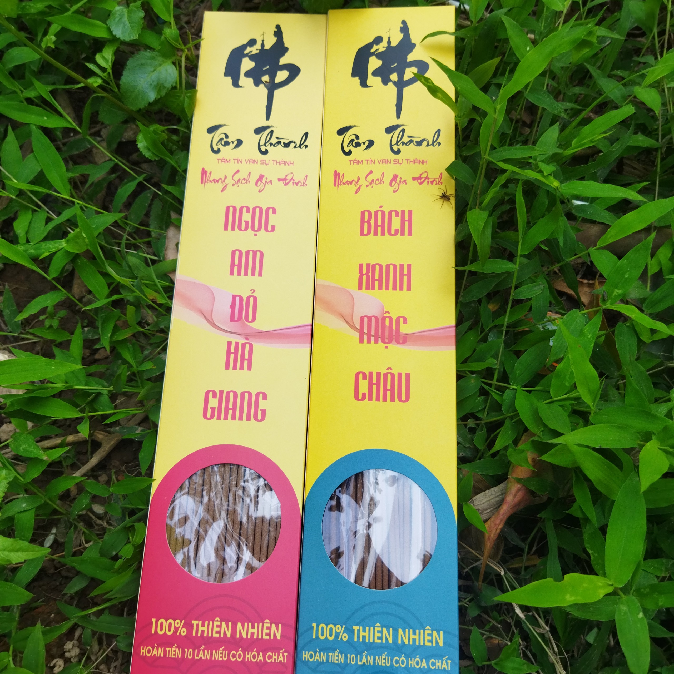 Hương Hoàng_Đàn Tuyết Lạng Sơn_Nhang Hoàng_Đàn_Nhang Bách_Xanh_Nhang Ngọc_Am_Cam Kết 100% Không Hóa Chất.