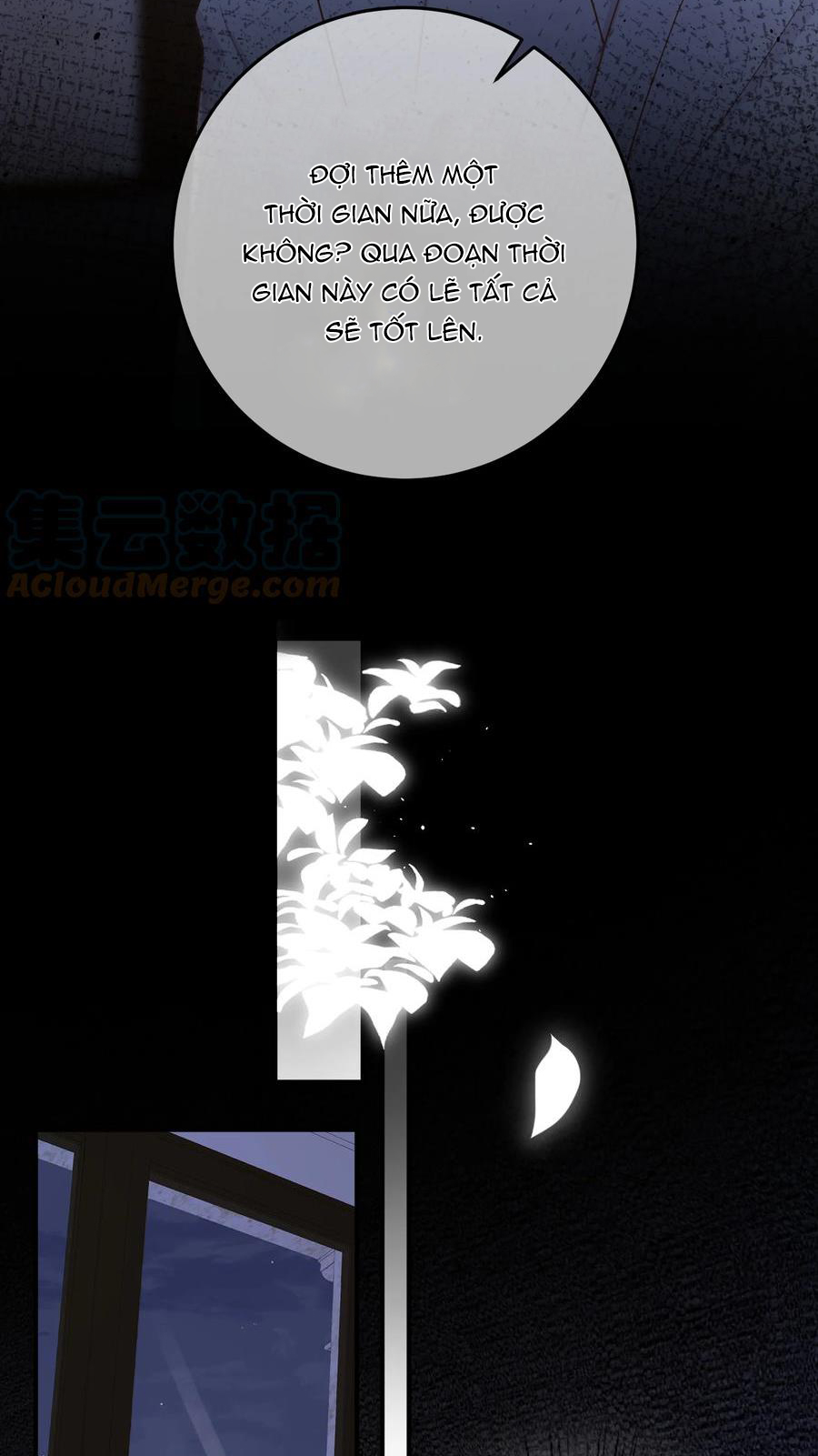 trước và sau ly hôn! chapter 53 13