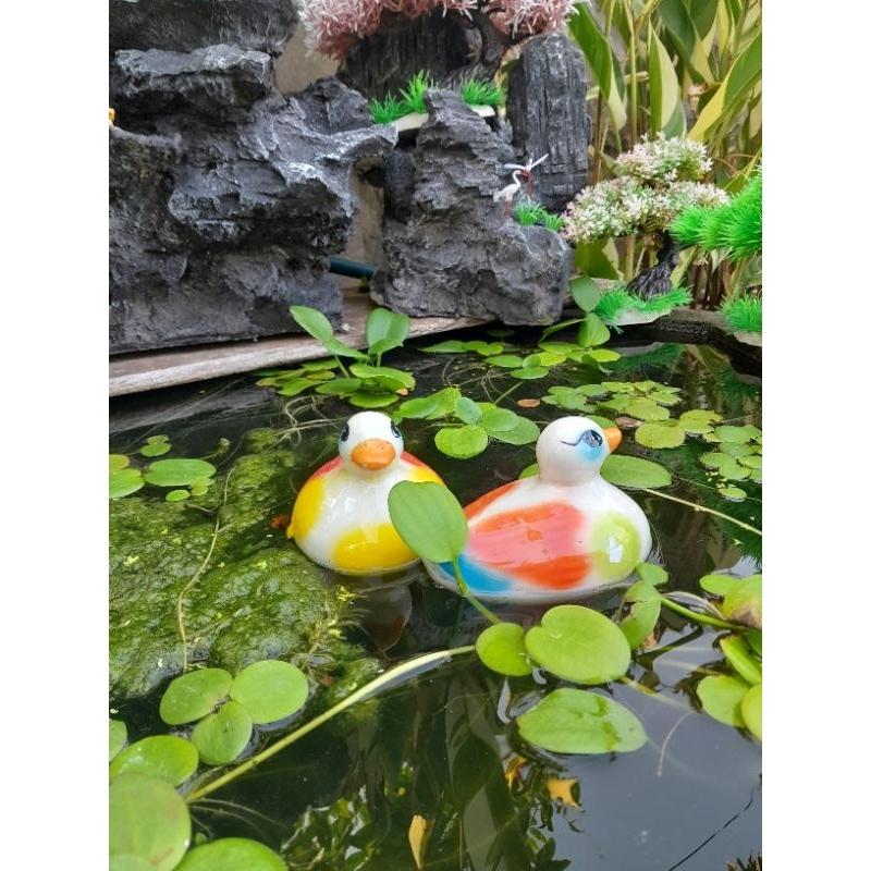 2 thiên nga nổi trên nước -2 chú vịt bơi trên nước