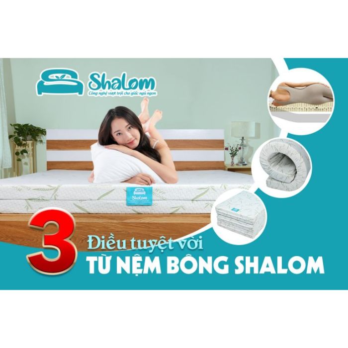 Nệm Bông Shalom Bamboo Kiểu Dáng Thẳng Hoặc Gấp