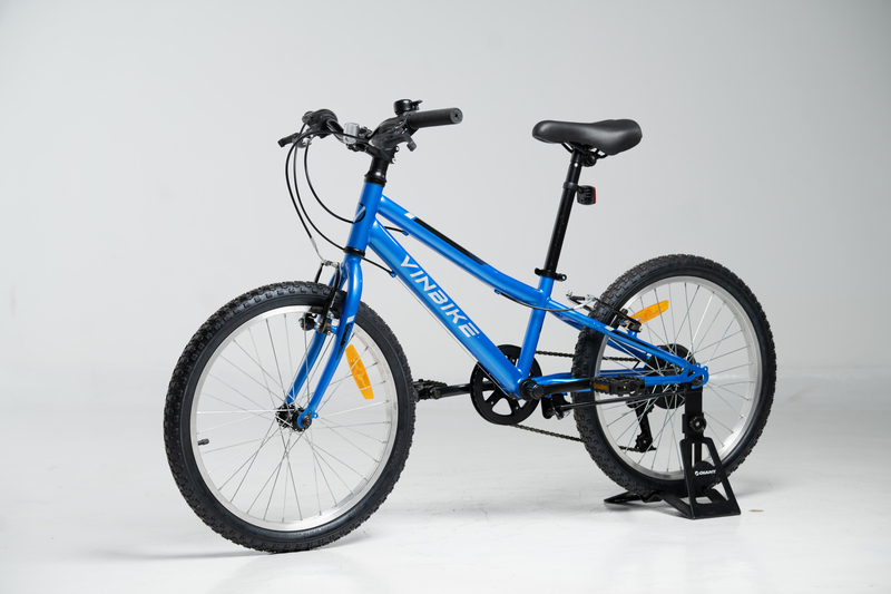 Xe Đạp Trẻ Em Youth Vinbike Hola 20 – Bánh 20 Inches – 2021