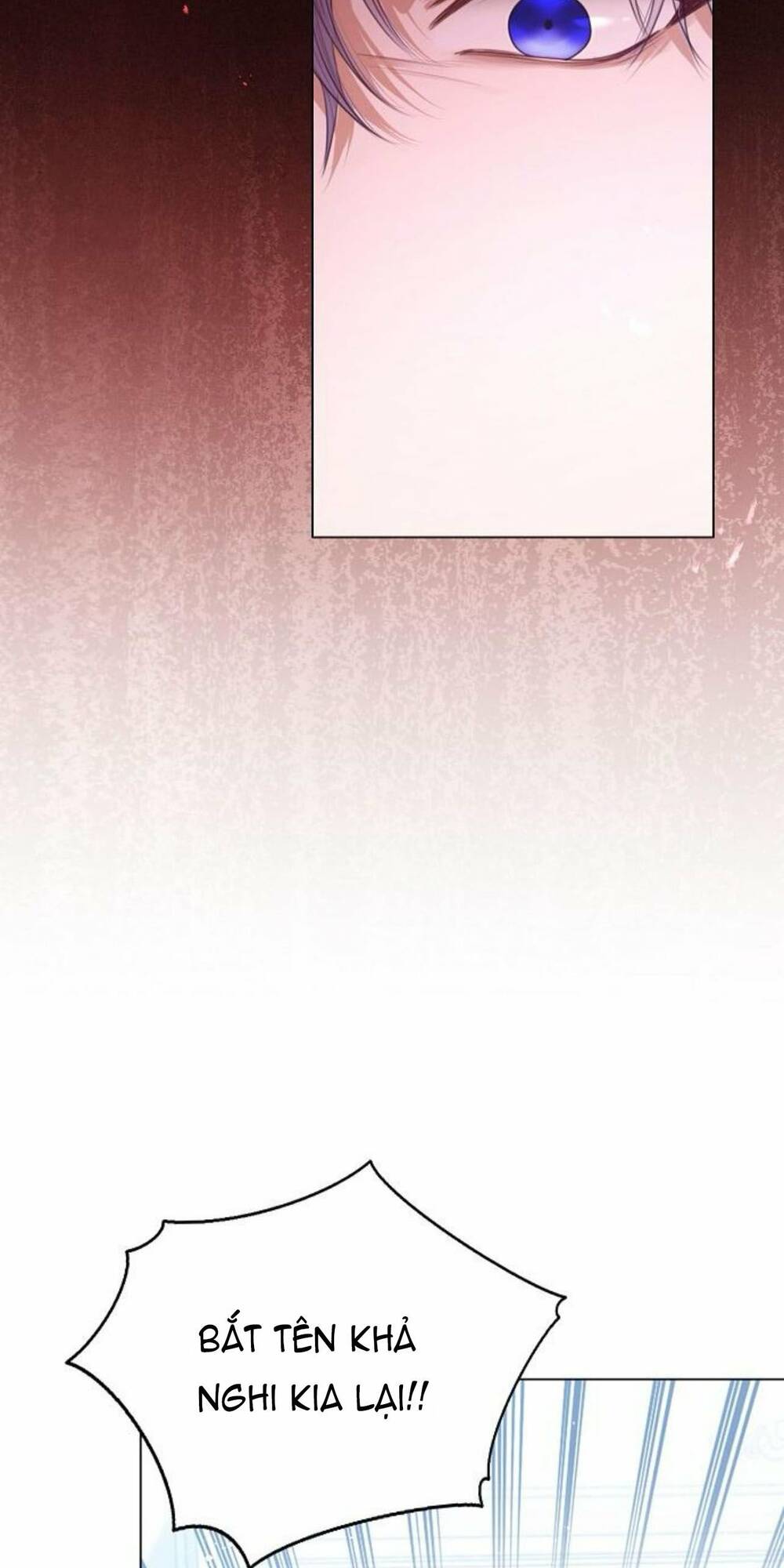 tôi sẽ từ bỏ vị trí hoàng hậu chapter 47.1 15