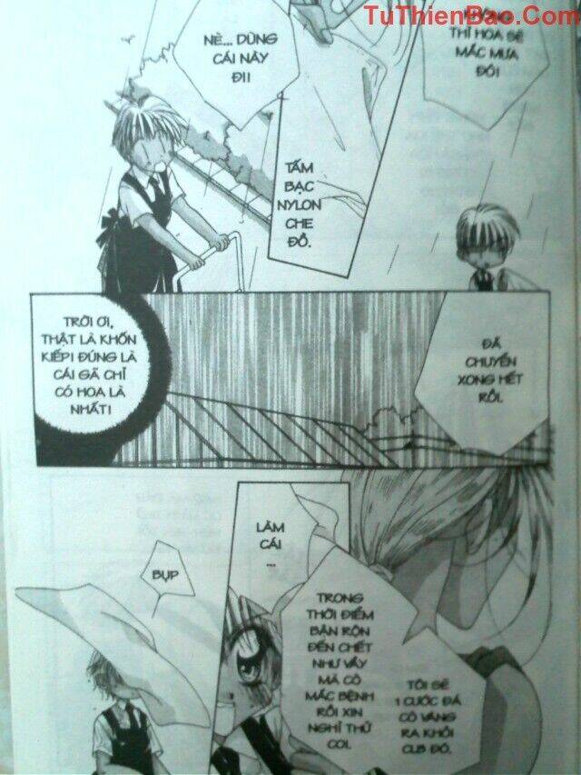 nguyện ước dưới ánh sao chapter 3 12